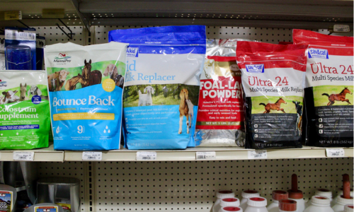 Farm feed and supplies on display inside of Rudy's Farm.