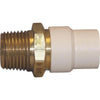 Charlotte Pipe 1/2 In. Slip x Brass MIP CPVC Transition Adapter